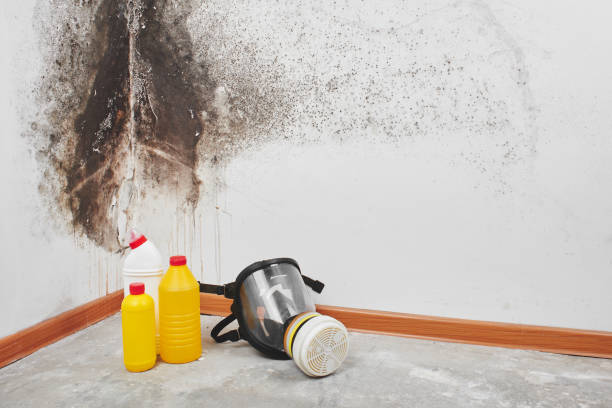 Water Damage Restoration in Satsuma, AL