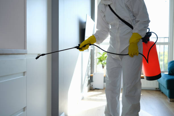 Best Commercial Mold Removal  in Satsuma, AL